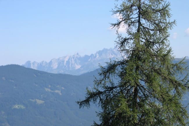 Zomervakantie in Flachau