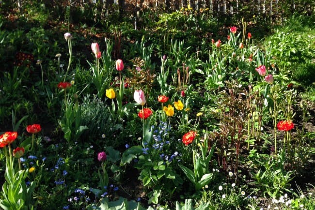 Bloemen zover het oog reikt